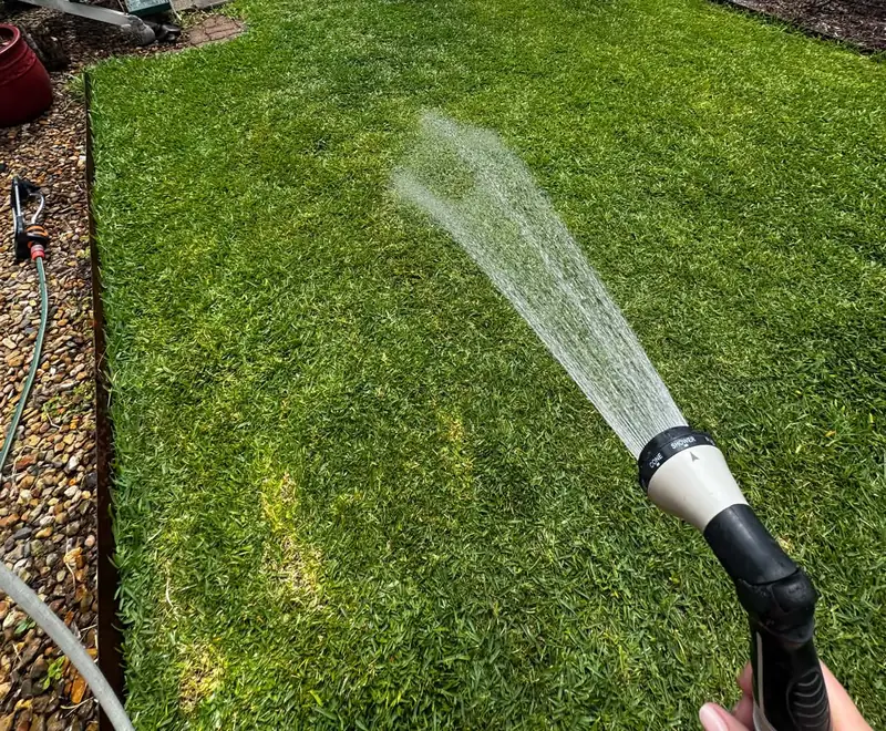 Hose nozzle spraying water over a Sir Walter Buffalo lawn beside a gravel border