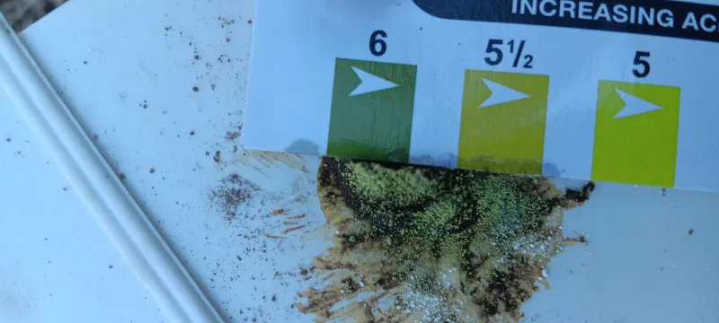 Soil pH test showing slurry colour reading approximately pH 5.5-6 against colour chart