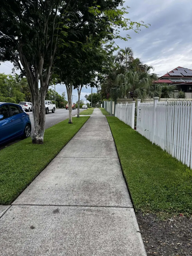 Sir Walter Buffalo footpath strip, dense and healthy at 50-60mm mowing height