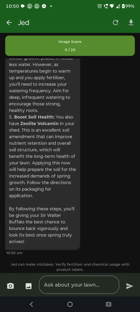Jed the AI lawn assistant answering a question about a flat, pale Sir Walter buffalo lawn heading into spring, referring to a soil amendment already in the user's shed